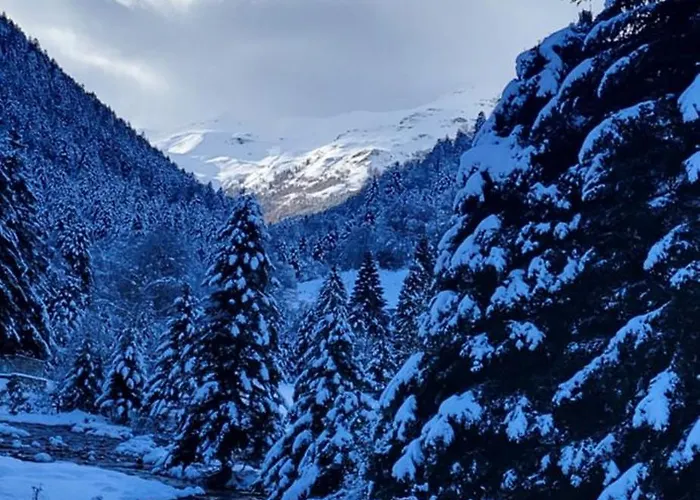 La Louve Hébergement de vacances *